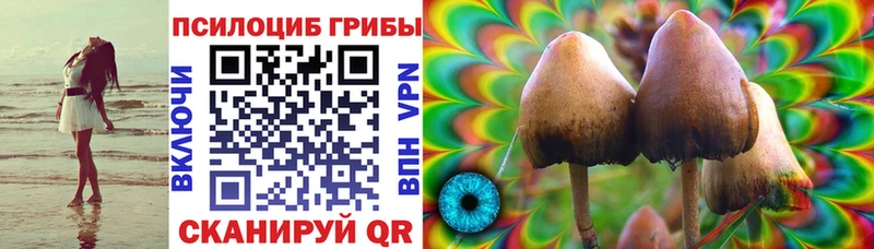 как найти закладки  Шумиха  Псилоцибиновые грибы мухоморы 