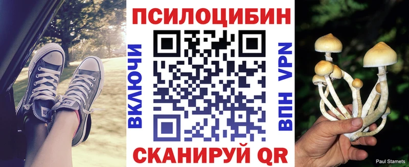 Псилоцибиновые грибы мицелий Шумиха